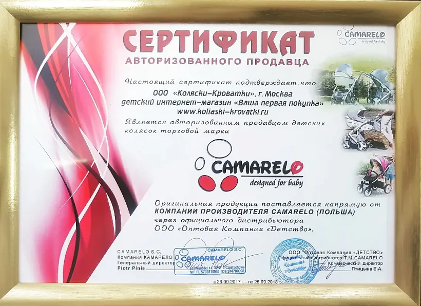 Детское автокресло Camarelo Alicante 0+ — как выглядит в жизни