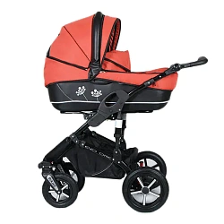 Детская коляска DorJan Danny Sport Plast EVO 2 в 1 Детская коляска DorJan Danny Sport Plast EVO 2 в 1